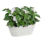 vibia campana mural 35cm blanc soie